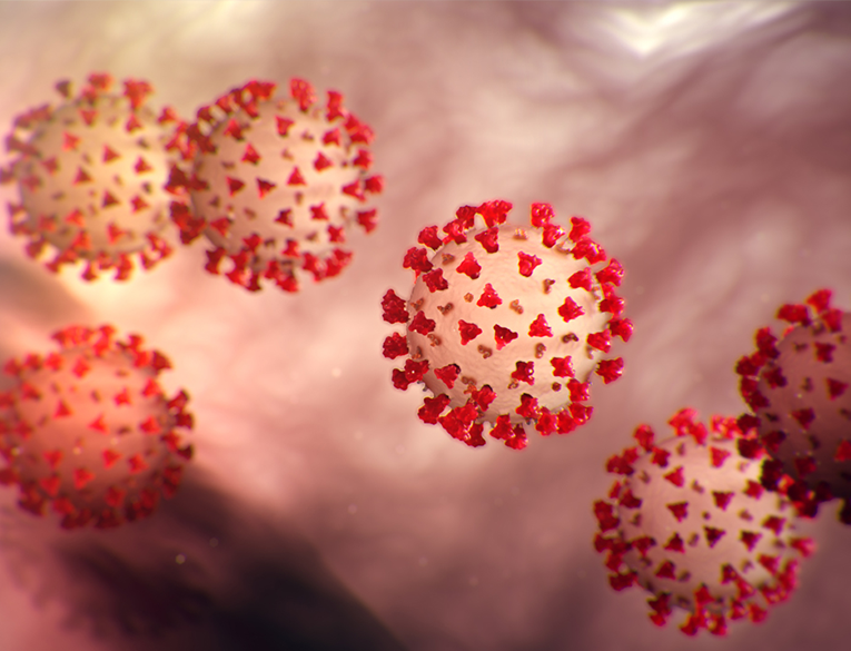 The mechanism behind the novel coronavirus COVID-19