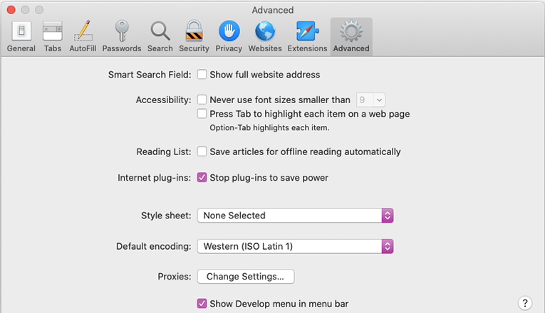 Safari Develop Menu