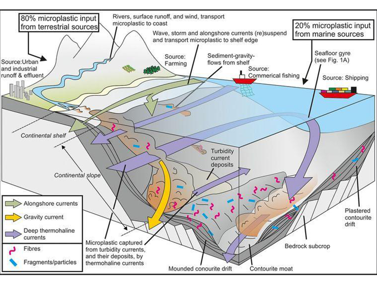 The highest microplastics concentration was recorded at the bottom of the Mediterranean Sea