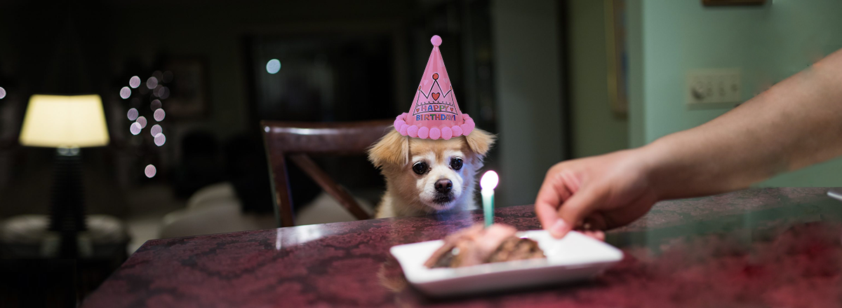 検疫中に誕生日を祝う方法