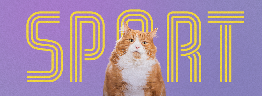 家にいながらこの夏アクティブでいる方法