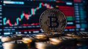 Grotaxivはトレーディング界の救世主となるか？今すぐ判明!