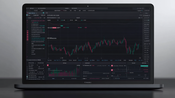 Nexo Portaris の信頼性を調査：長所と短所を公開