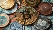 Dinamora Bitexの調査：真のトレーディングパワーハウスかどうか？