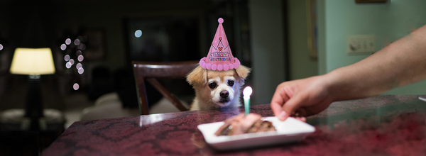 検疫中に誕生日を祝う方法