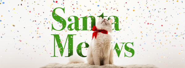 Santa Meows: Holiday Cats in Christmas Costumes